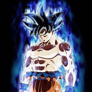 Meet your Posher, Ricardo